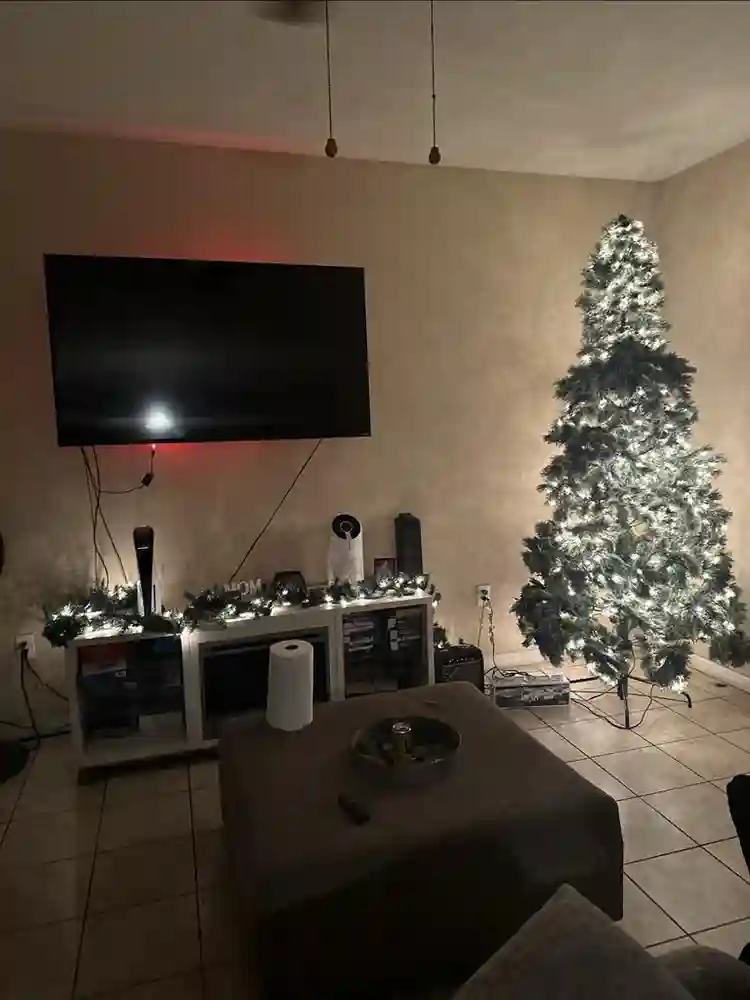 Master suite for Rent