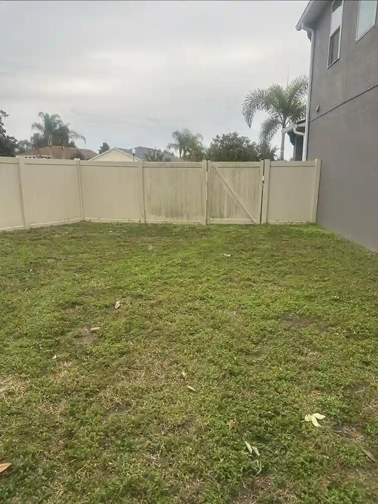 Master suite for Rent