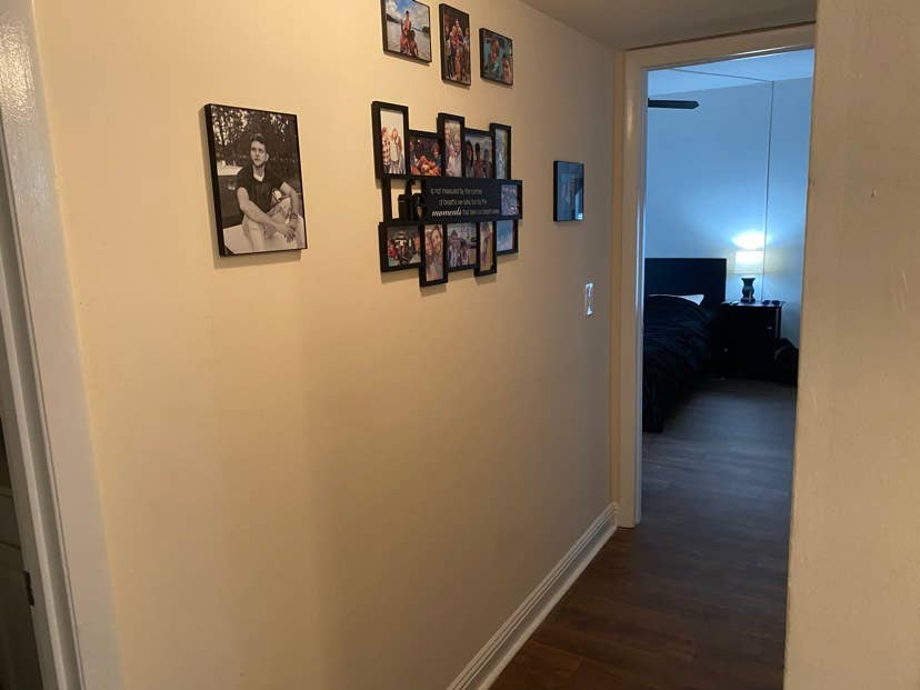 Looking for A Chill Roommate!