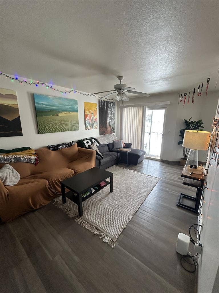 Looking for girl roommate!