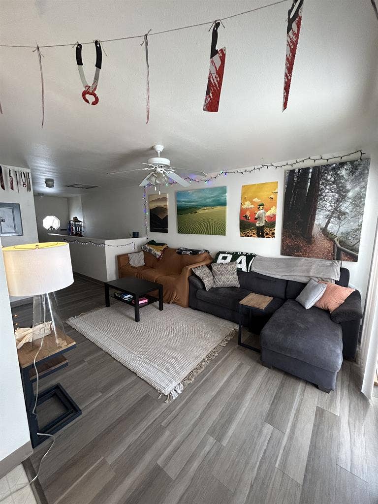 Looking for girl roommate!