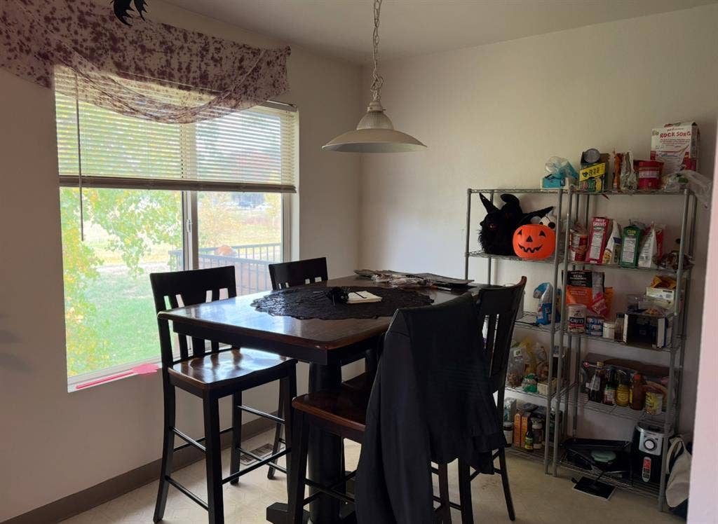 Looking for girl roommate!