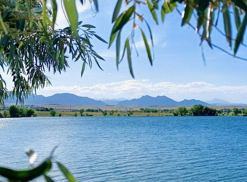 Room for Rent- Arvada/ Westminster