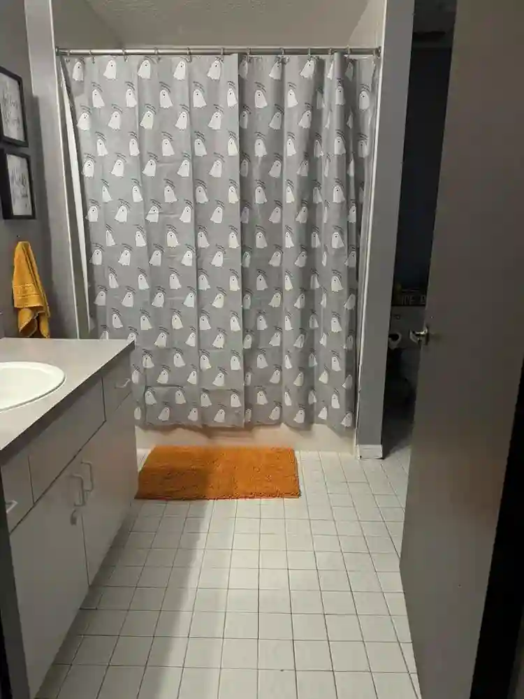 Furnished room in Metrowest