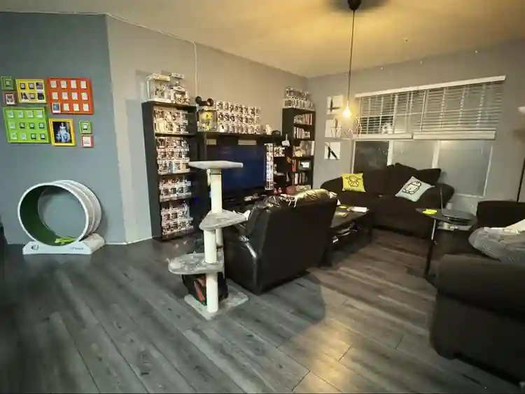 Furnished room in Metrowest