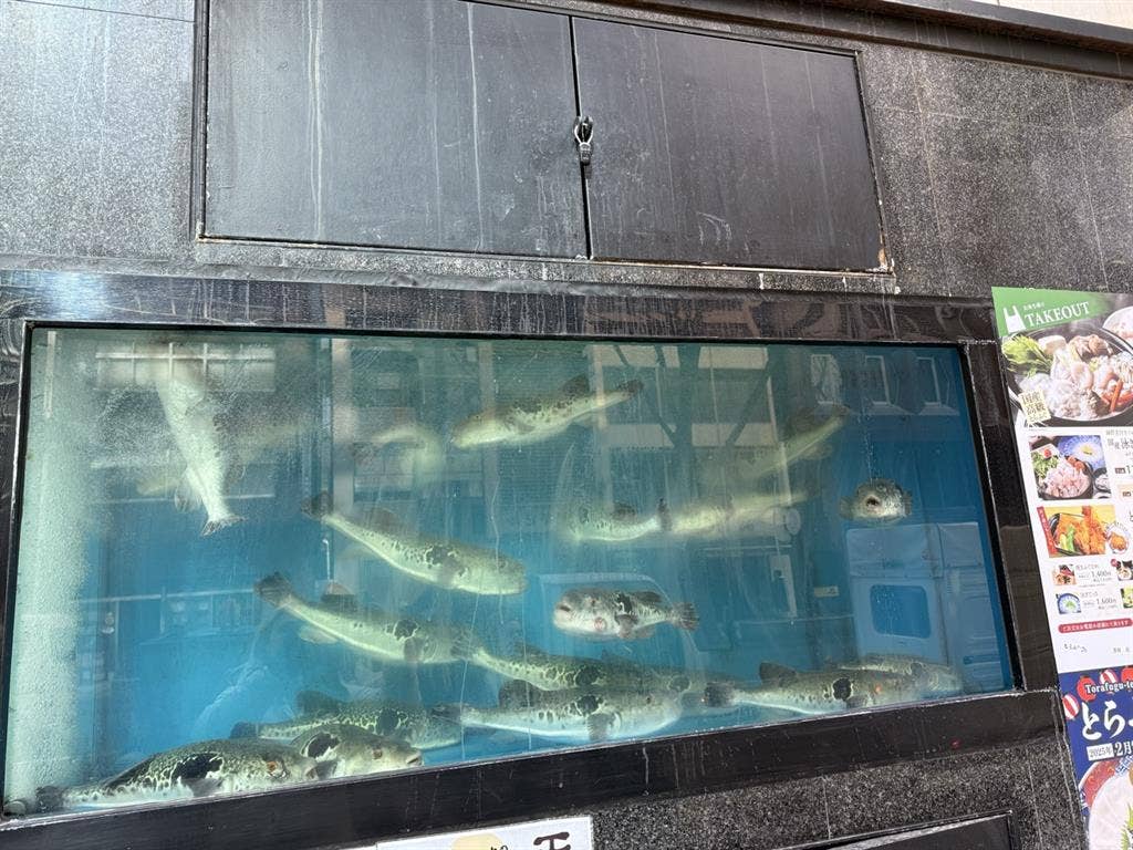 Safe Community Living for Women