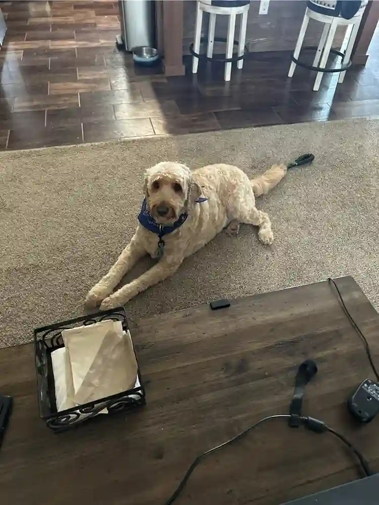 South Reno Locationn