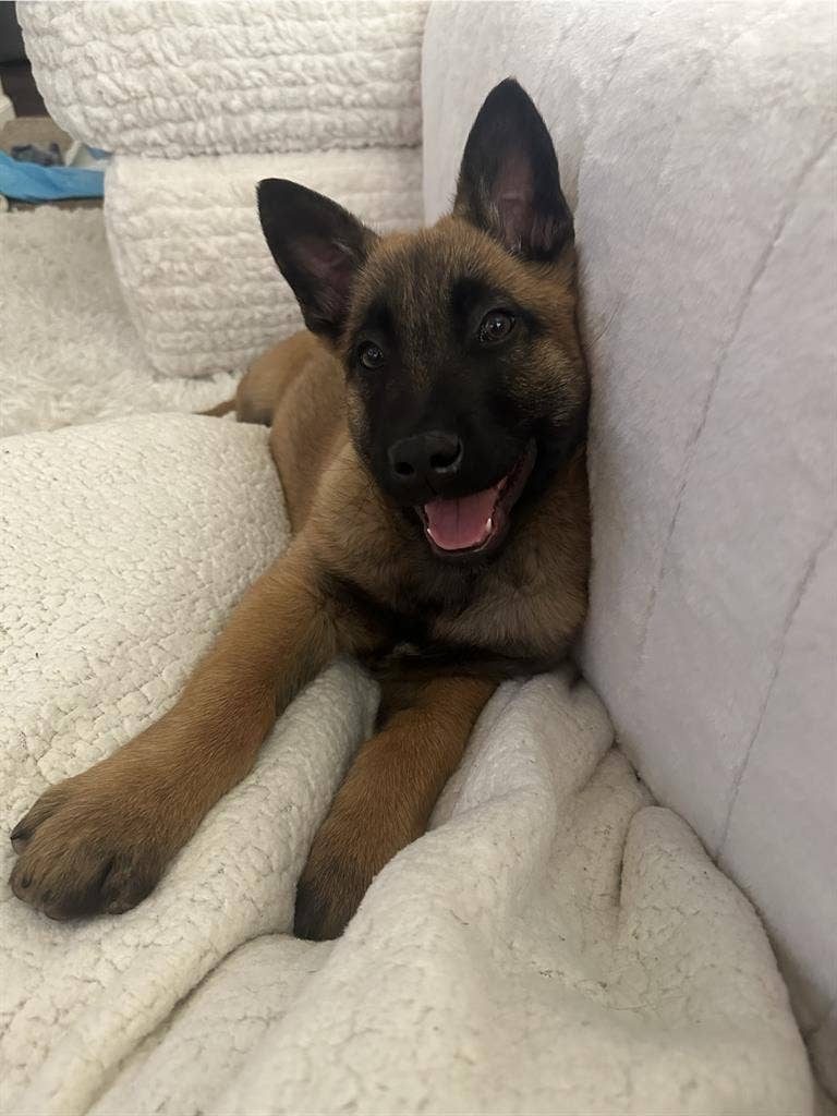 South Reno Locationn