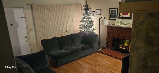 Divorced Dad looking for a roommate