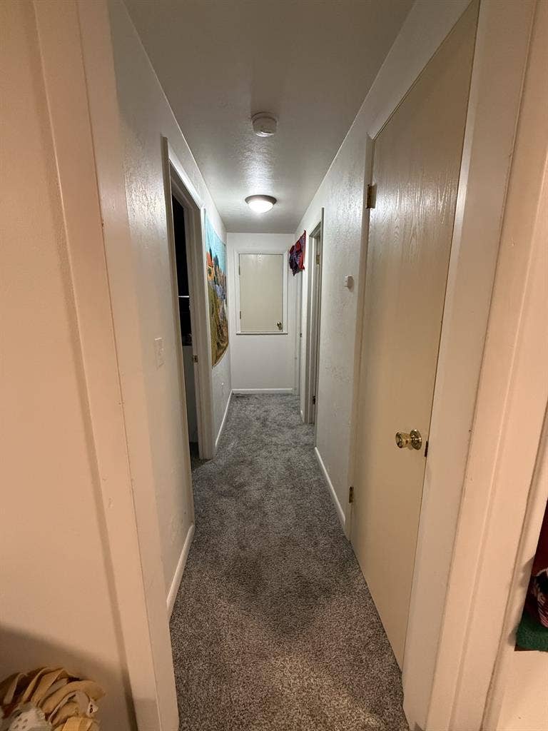 Looking for tenant for a cozy home!