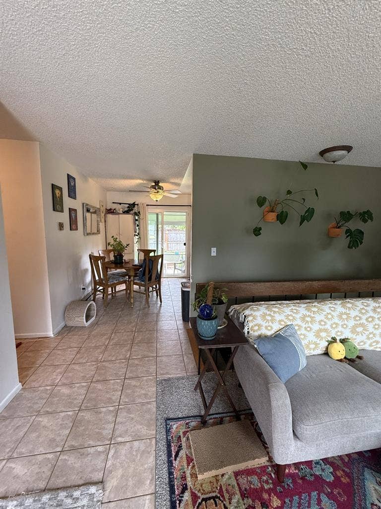 Looking for tenant for a cozy home!