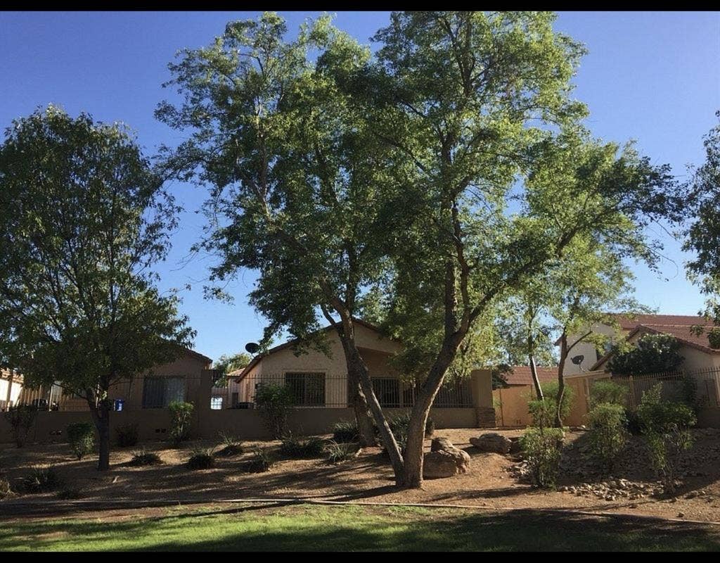 Master Bedroom Available to Rent!