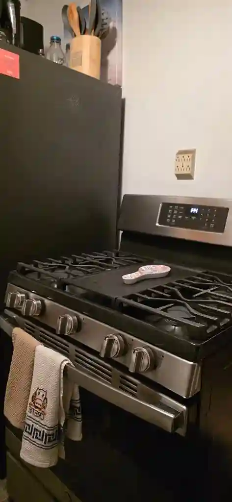 Looking for Roommate to share house