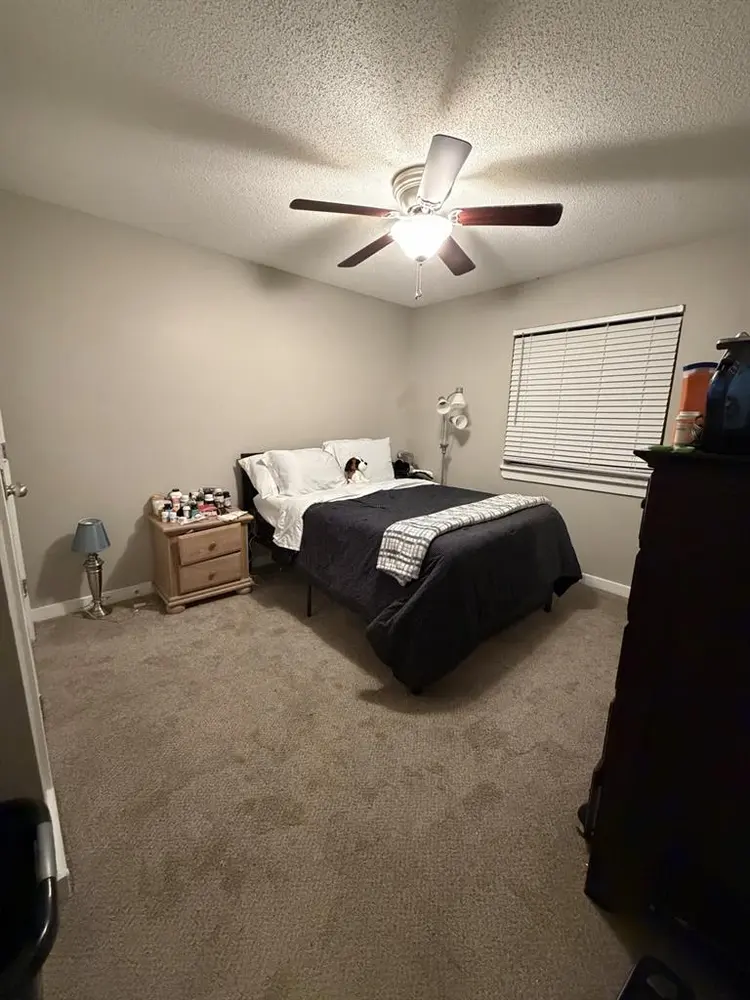 Roommate needed-Fully furnished.