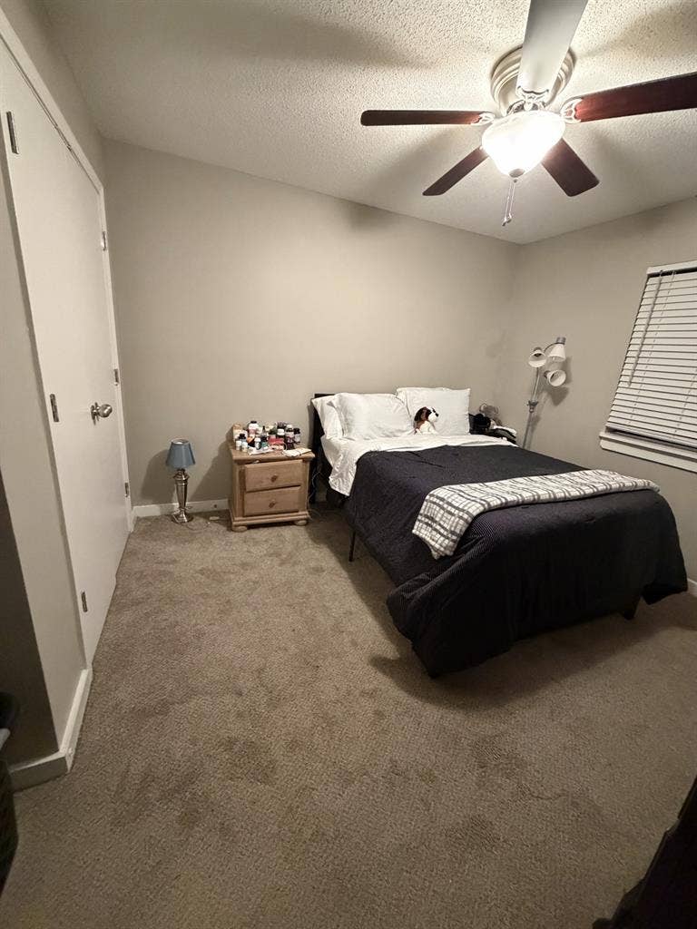 Roommate needed-Fully furnished.