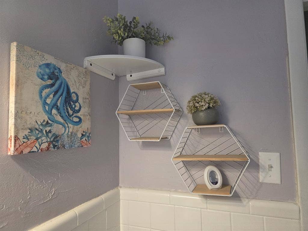 Looking for a roommate