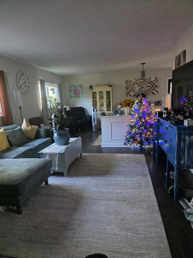 Looking for a roommate