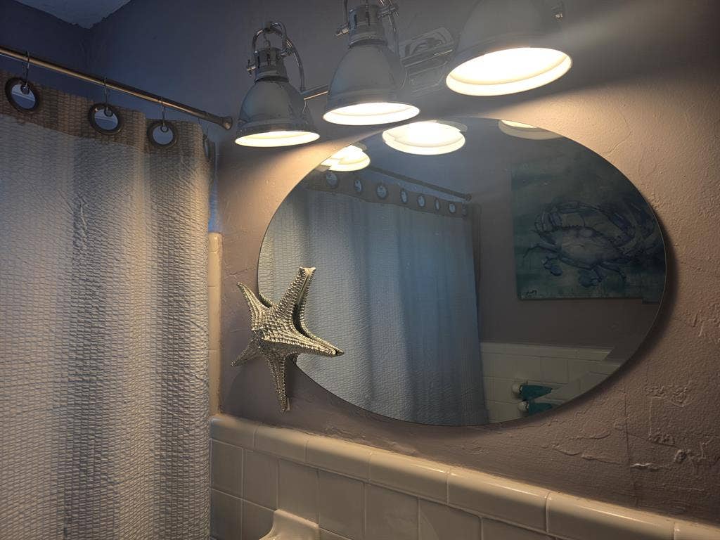 Looking for a roommate