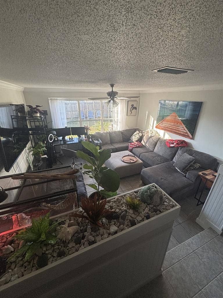 Private room in clean, cozy home