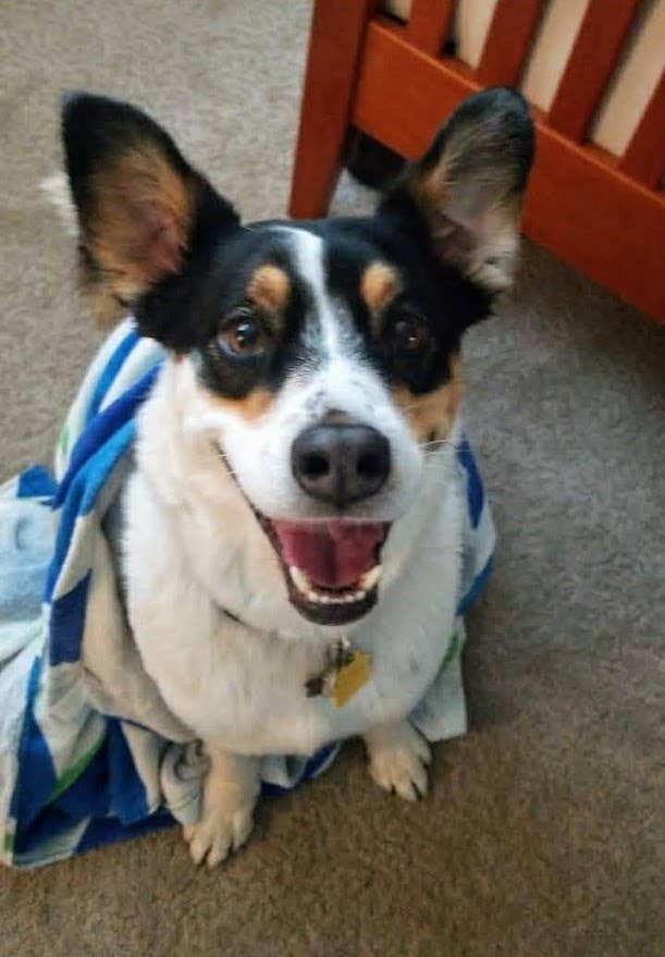 South Scottsdale Room for Female