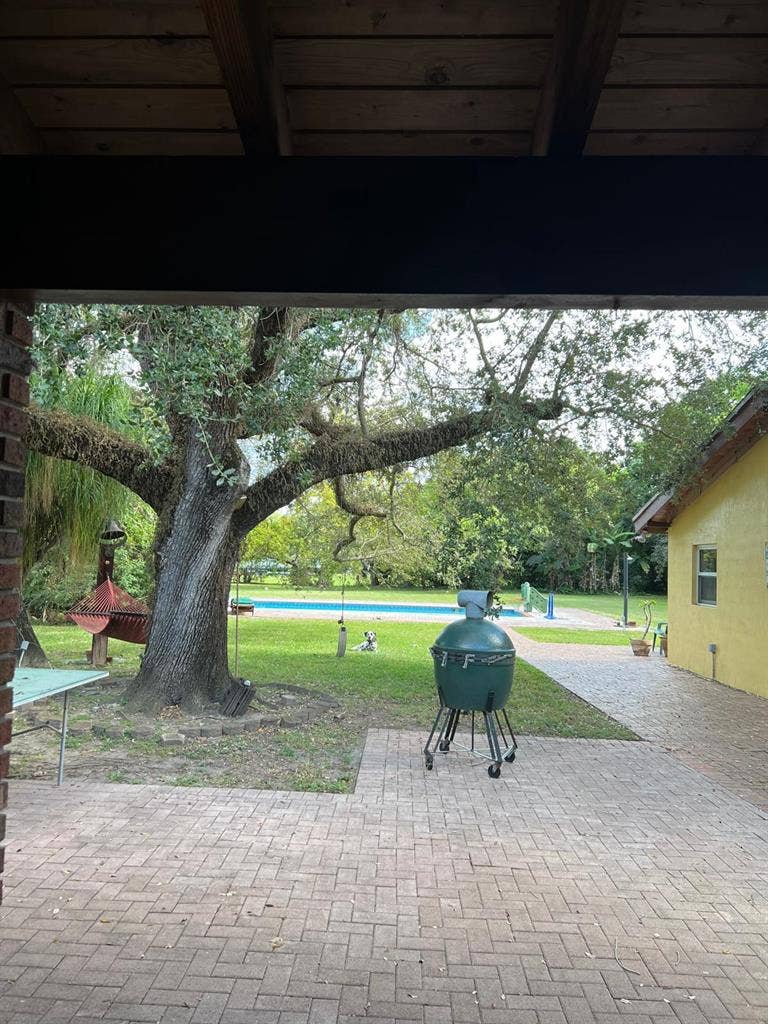 Sunny room in quiet neighborhood