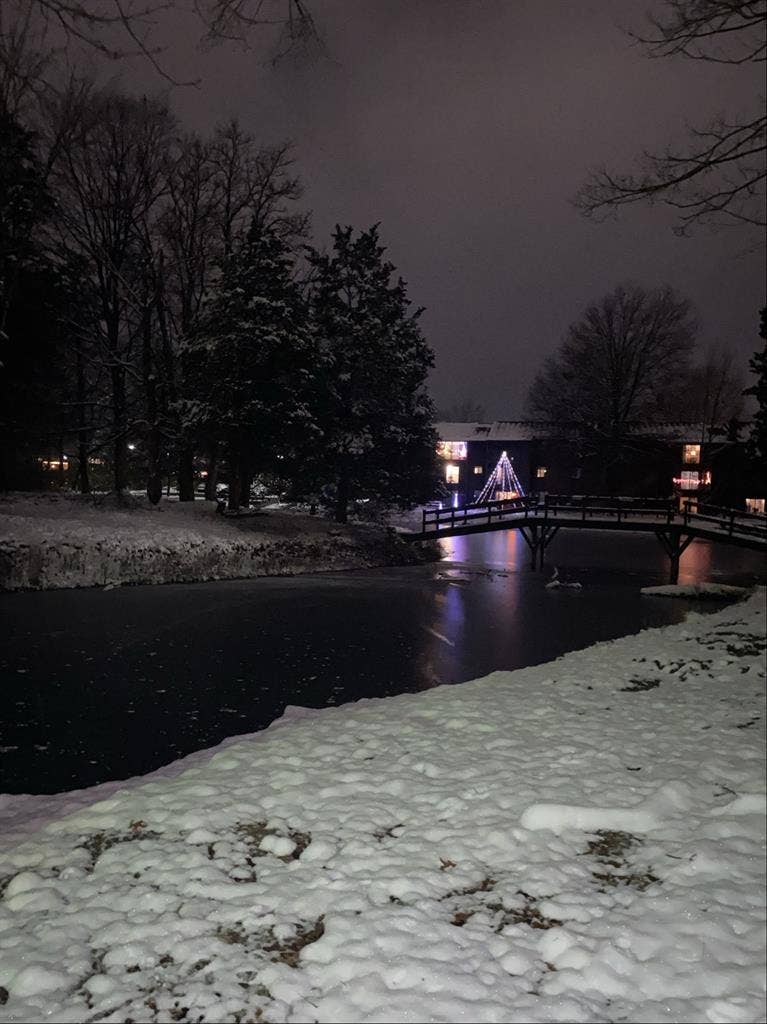 looking for a chill roommate:)