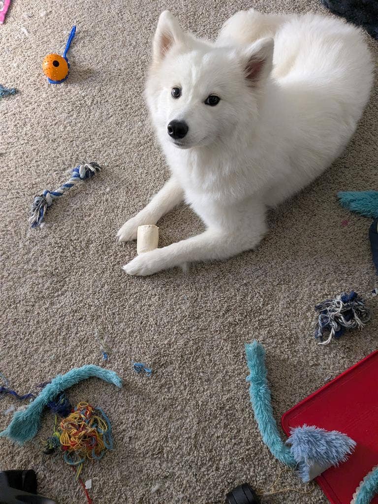 Living room for rent.