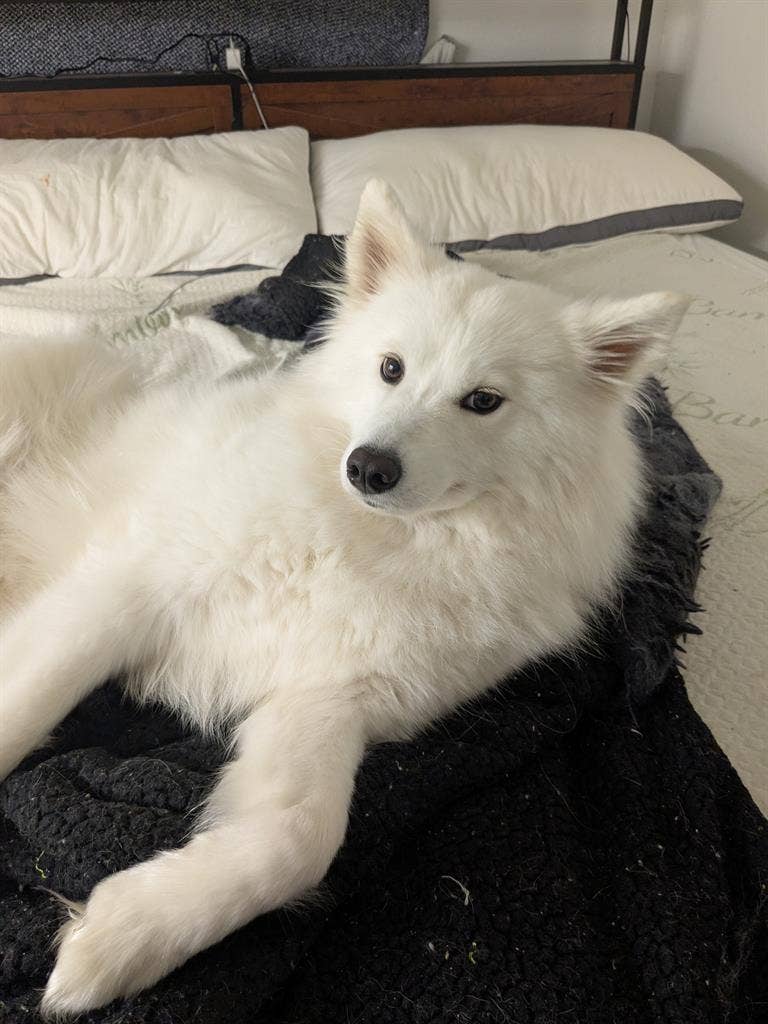 Living room for rent.