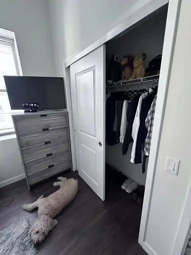 Room Available in a ba