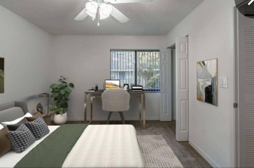 Looking for a roommate