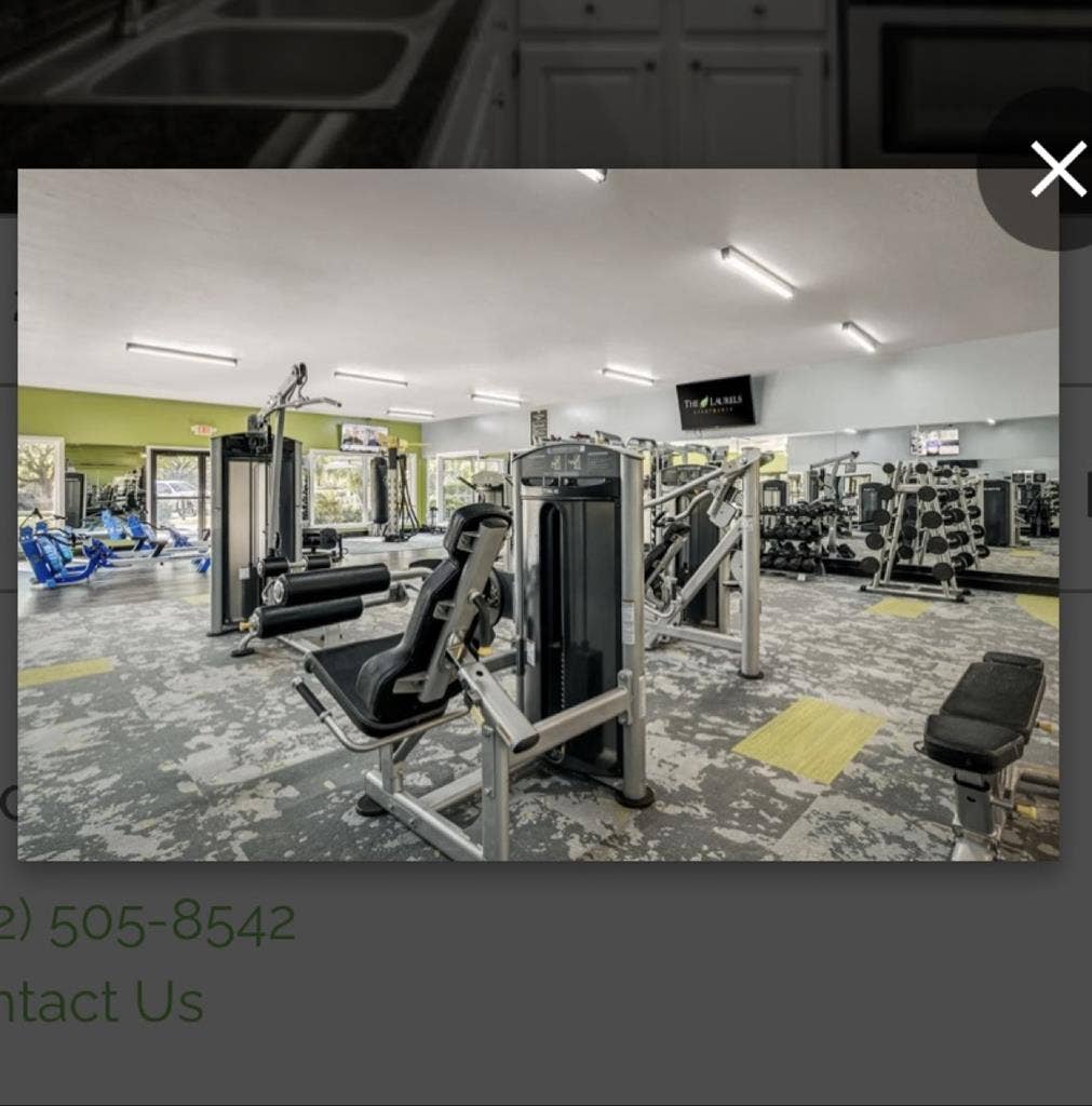 Looking for a roommate