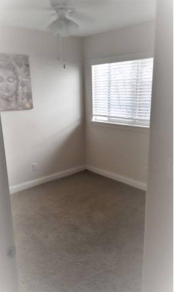 Looking 4 great quite roomie!