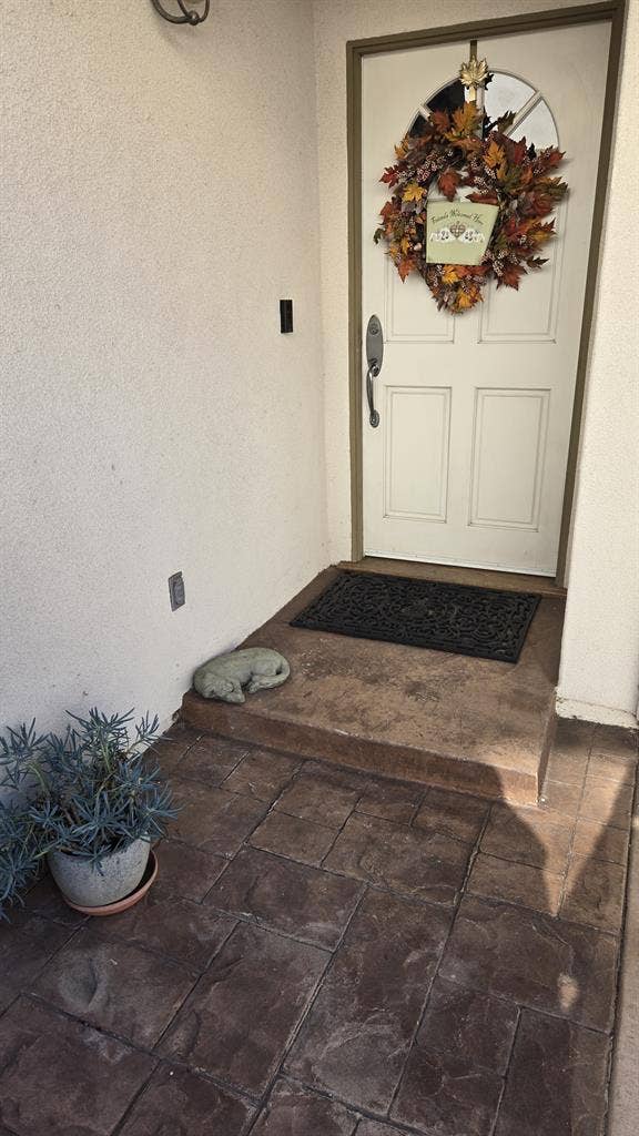 Looking 4 great quite roomie!