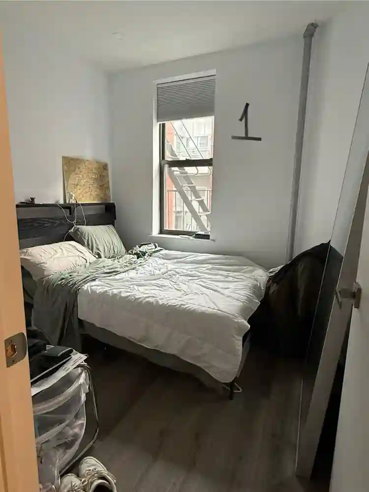 LES Roomate Wanted (Bath)