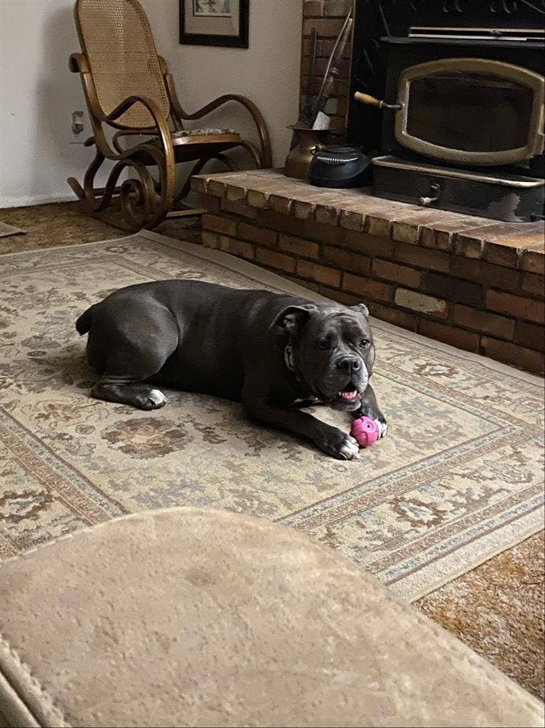 1 Bedroom in Enterprise - Furnished