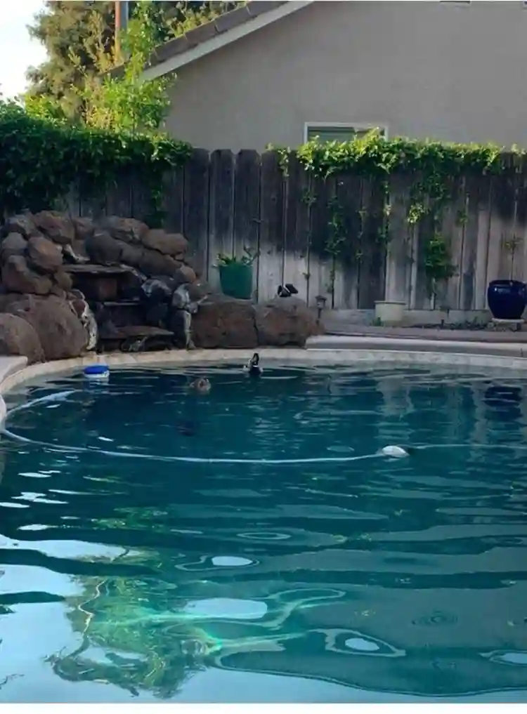 2 Furnished Bedrooms with Bathroom