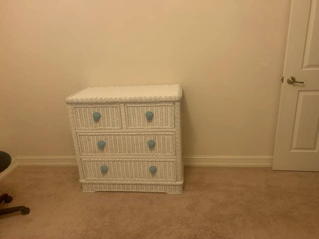 Beautiful Condo: Female roommate