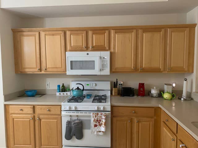 Beautiful Condo: Female roommate