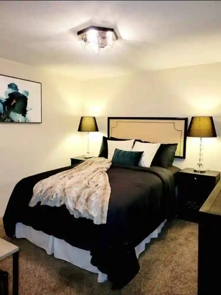 Furnished 1 Bedroom (basement)