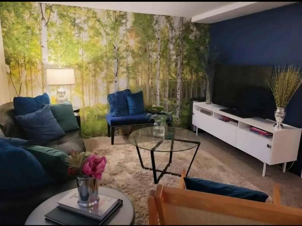 Furnished 1 Bedroom (basement)