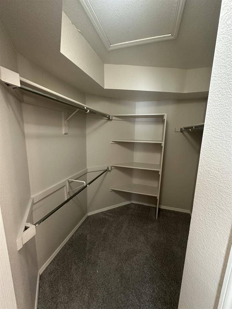 Looking for a Roommate January