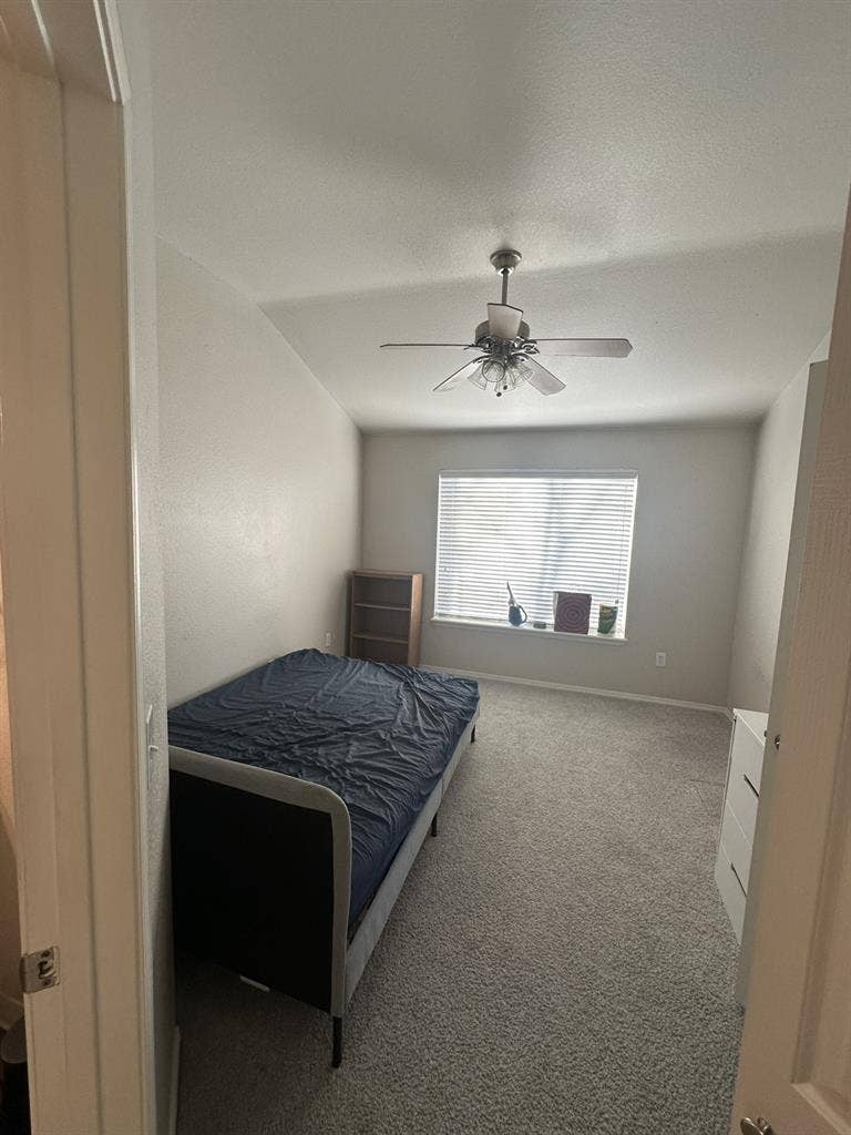 Looking for a Roommate January