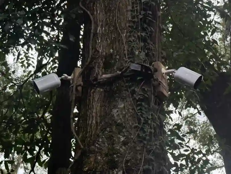 RV,Tent,Camping!
Twentyone Night🌛