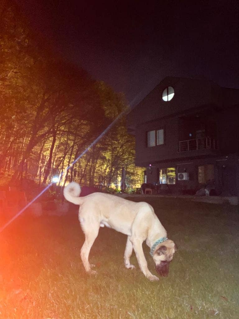 BAYAN EV ARKADAŞI ARIYORUM