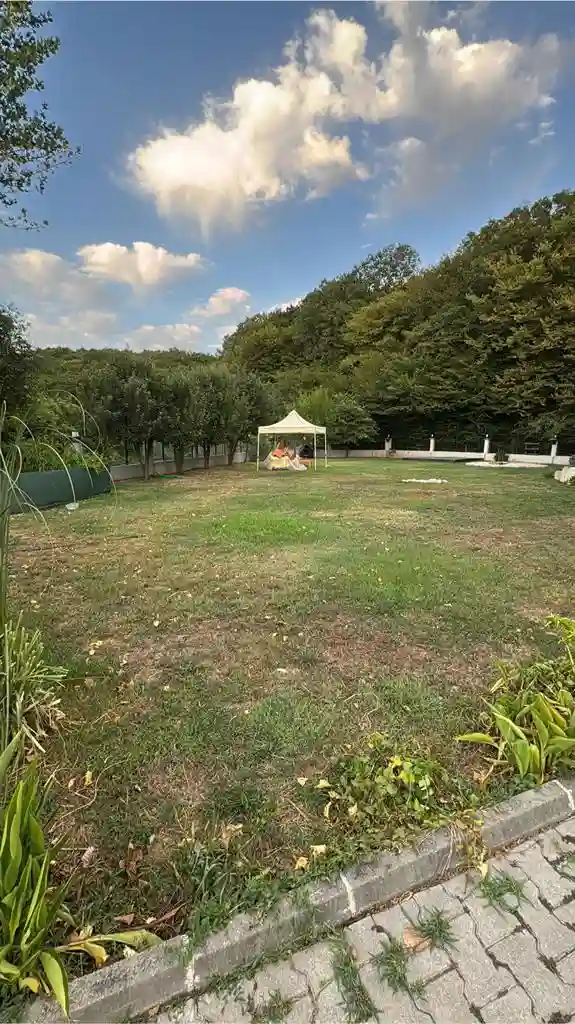 BAYAN EV ARKADAŞI ARIYORUM