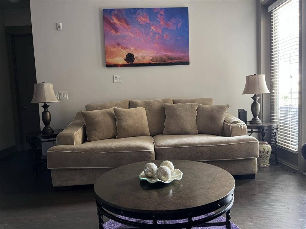 Beautiful Sandy Springs Apartment