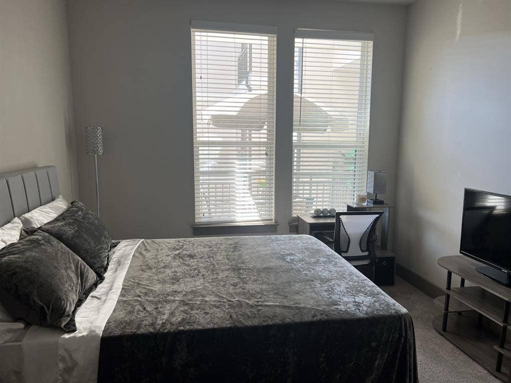 Beautiful Sandy Springs Apartment