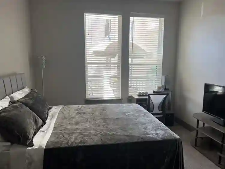 Beautiful Sandy Springs Apartment