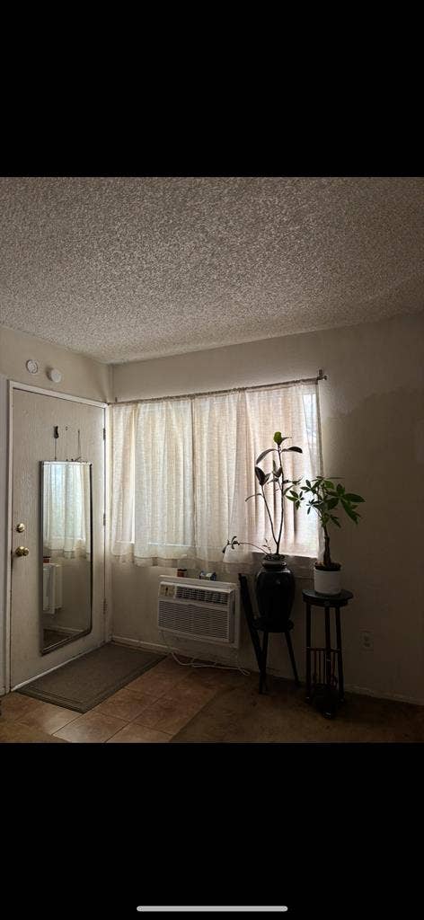 Female Only- no pets