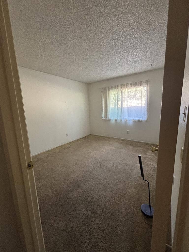 Female Only- no pets, shared bath